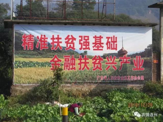 【员工风采】博士来扶贫 精准又精彩——记“省五一劳动奖章”获得者张涛员工 