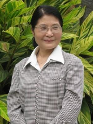 王美今